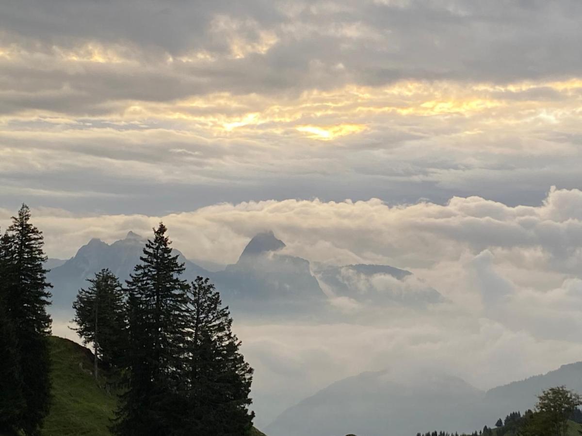Rigi-Burggeist Alpine Guesthouse Gersau Ngoại thất bức ảnh