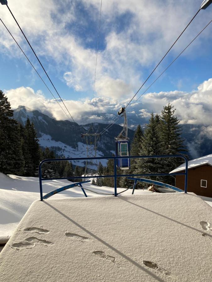 Rigi-Burggeist Alpine Guesthouse Gersau Ngoại thất bức ảnh