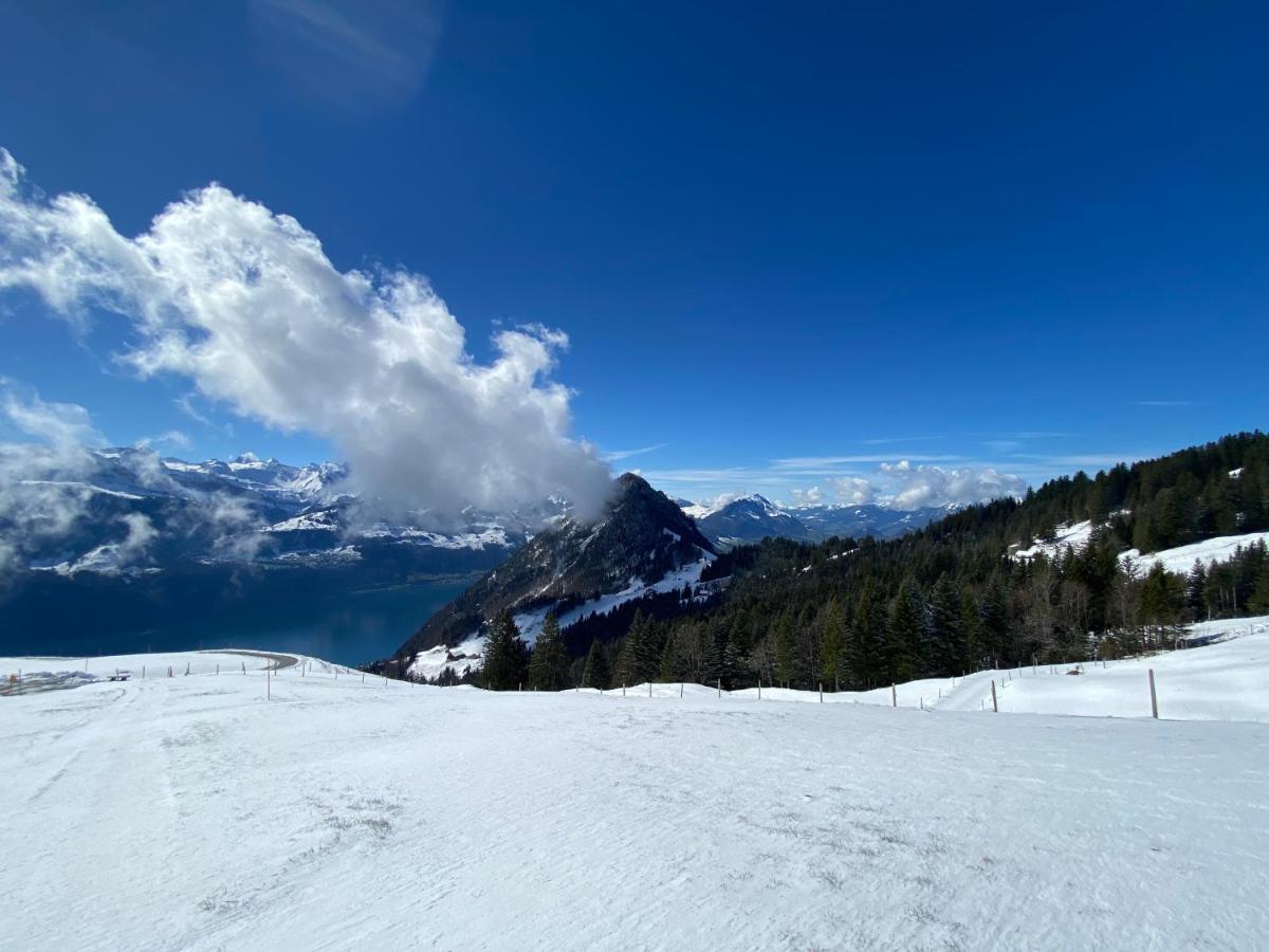 Rigi-Burggeist Alpine Guesthouse Gersau Ngoại thất bức ảnh