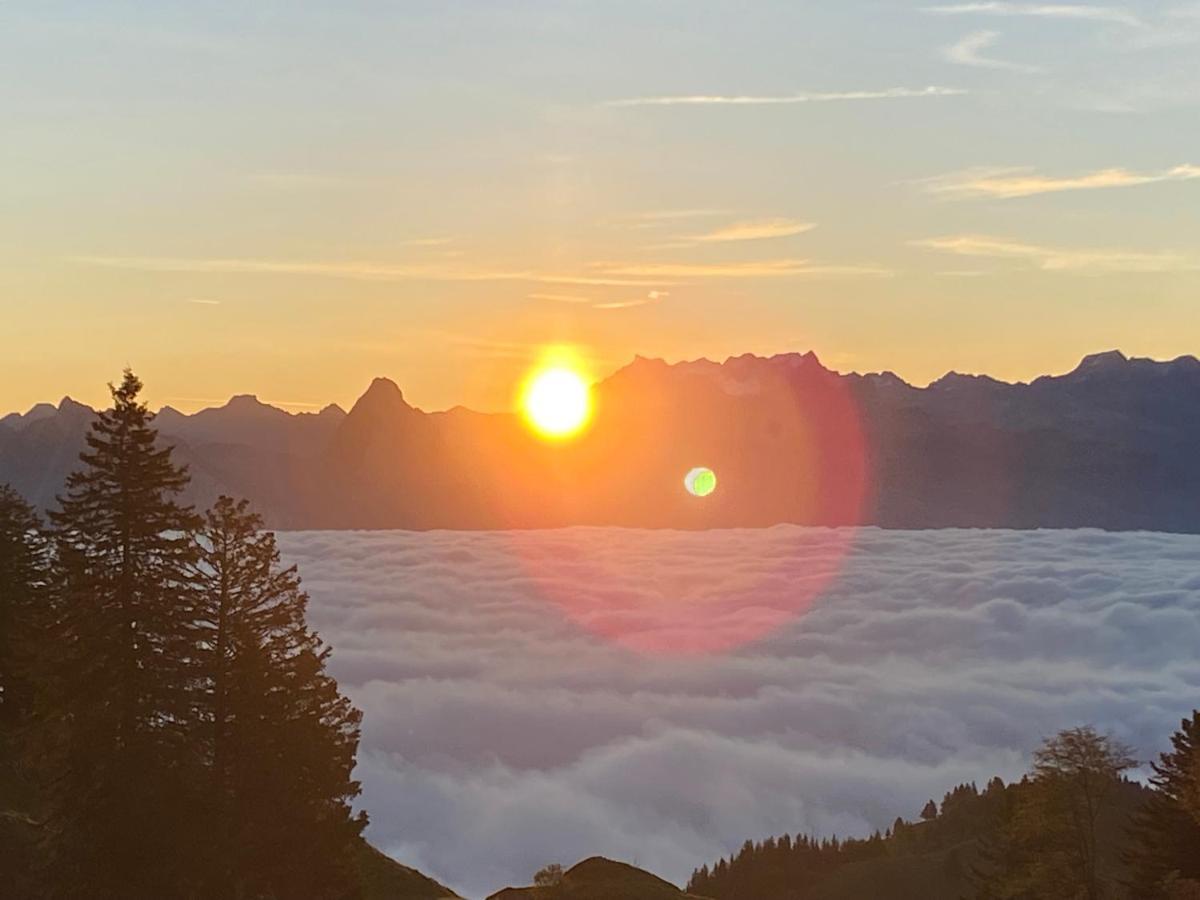 Rigi-Burggeist Alpine Guesthouse Gersau Ngoại thất bức ảnh