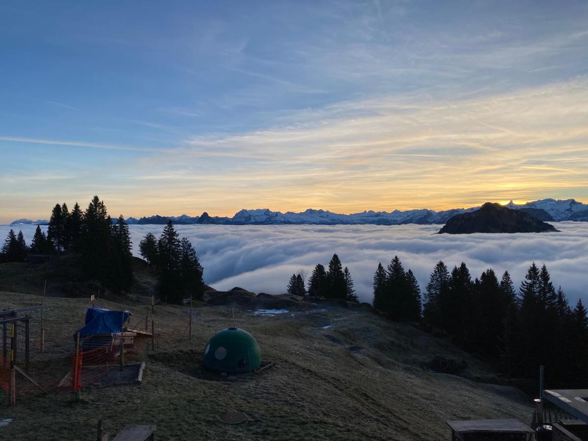 Rigi-Burggeist Alpine Guesthouse Gersau Ngoại thất bức ảnh