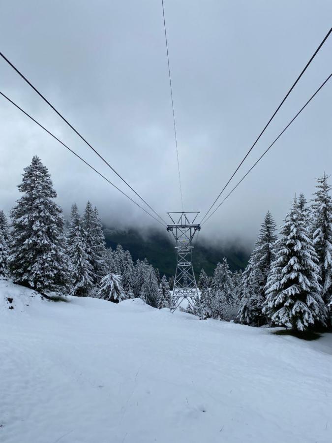 Rigi-Burggeist Alpine Guesthouse Gersau Ngoại thất bức ảnh