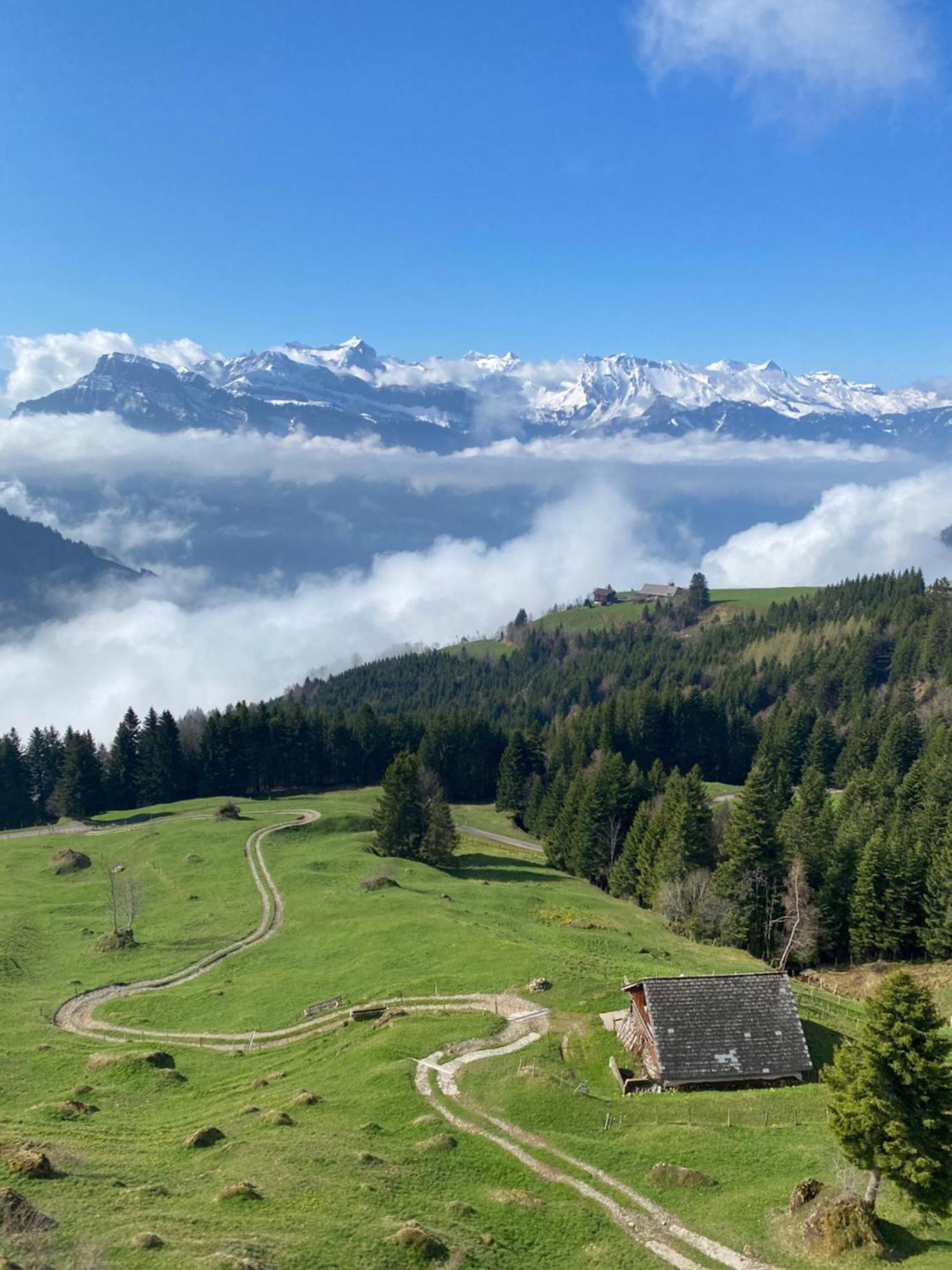Rigi-Burggeist Alpine Guesthouse Gersau Ngoại thất bức ảnh